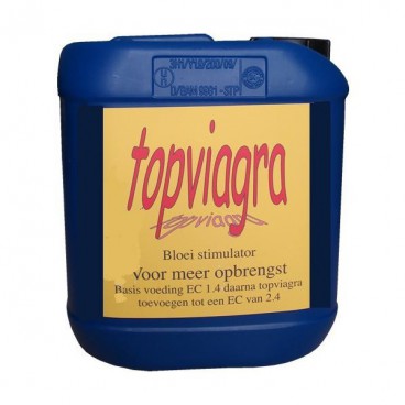 Viagra in holland